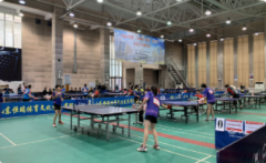娱乐休闲网站建设方案分析做网站步骤重庆市渝北区乒乓球协会