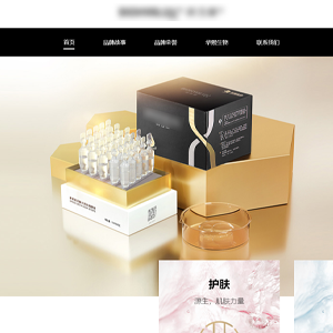 上海网站建设展示型案例作品圣*兰美妆官方网站